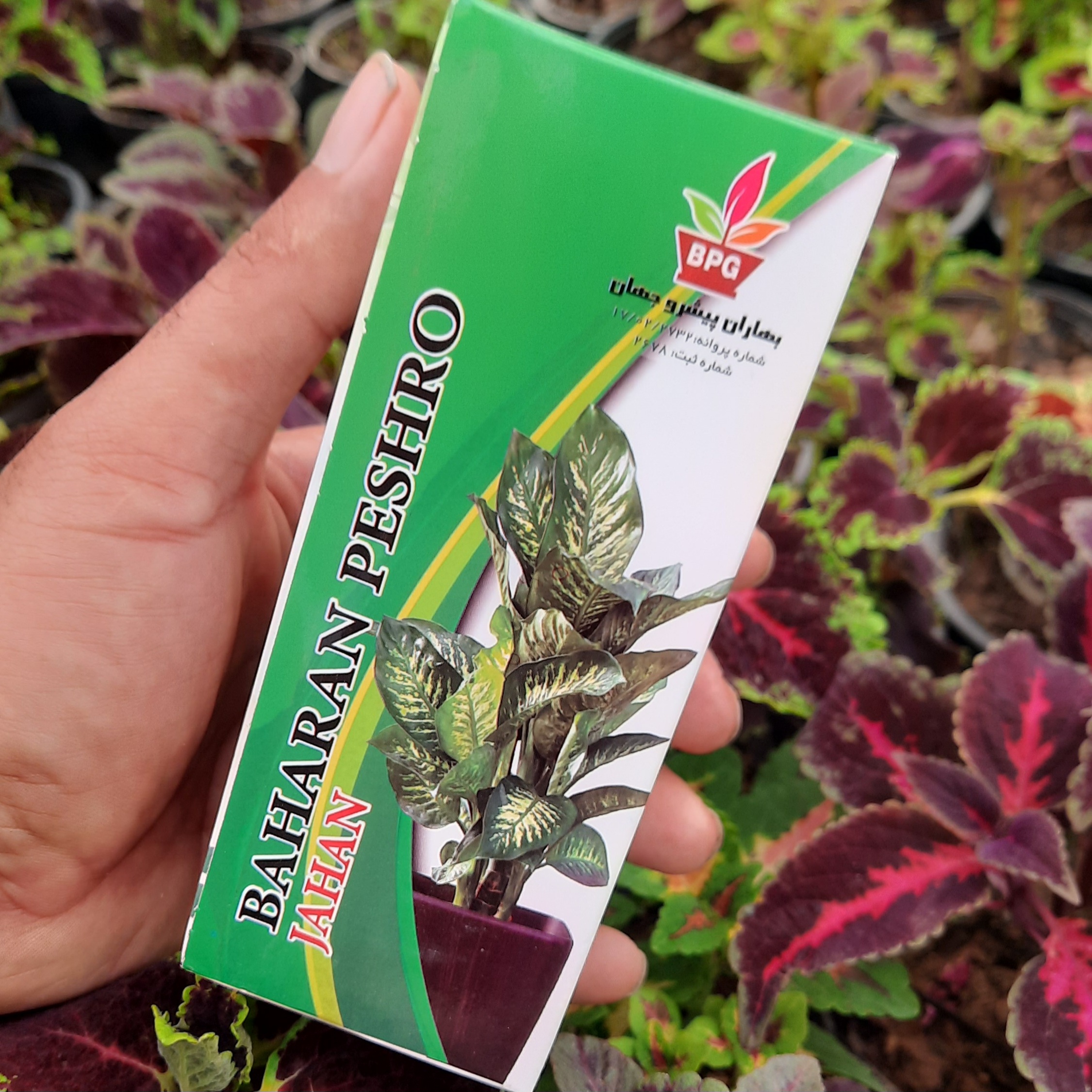 کود کامل ۲۵۰ سی سی