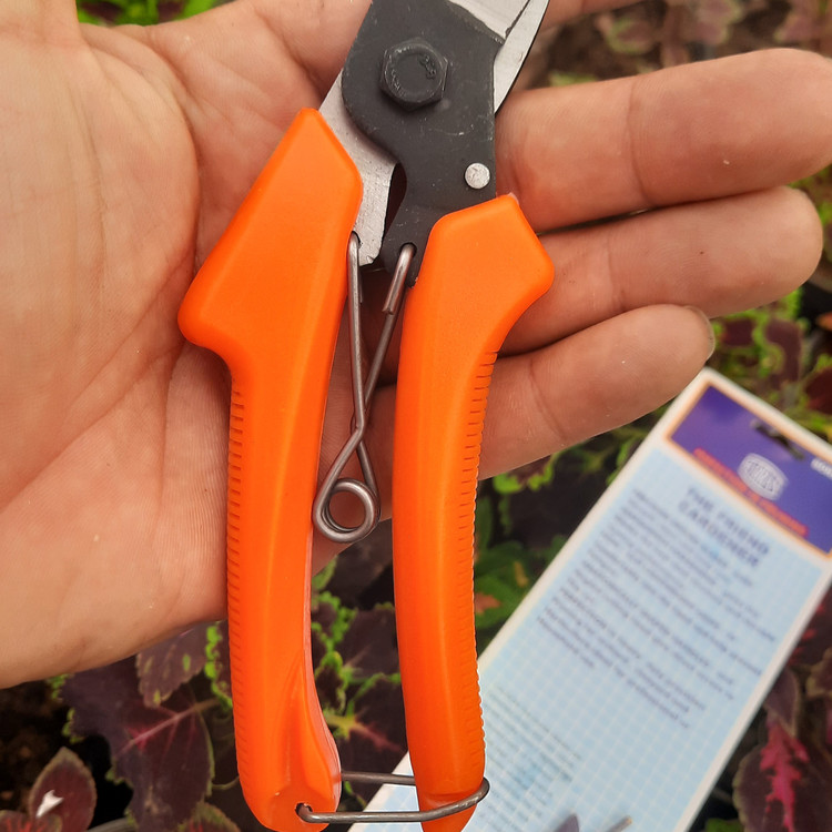 خرید عمده و تک قیچی باغبانی و هرس گیاهان