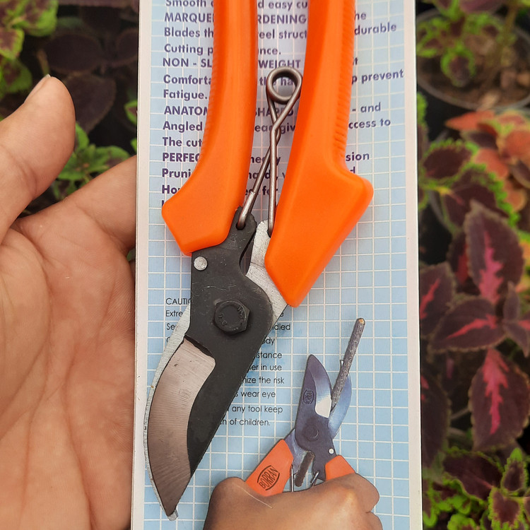 خرید قیچی باغبانی