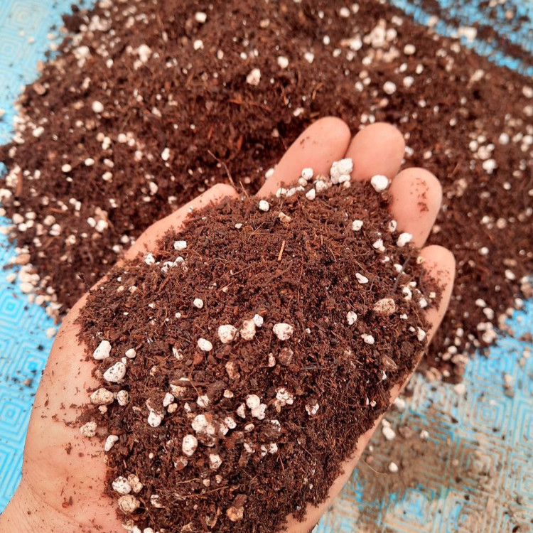 بافت متخلخل و دانه بندی استاندارد خاک هلندی حاوی پرلیت برای زهکشی عالی