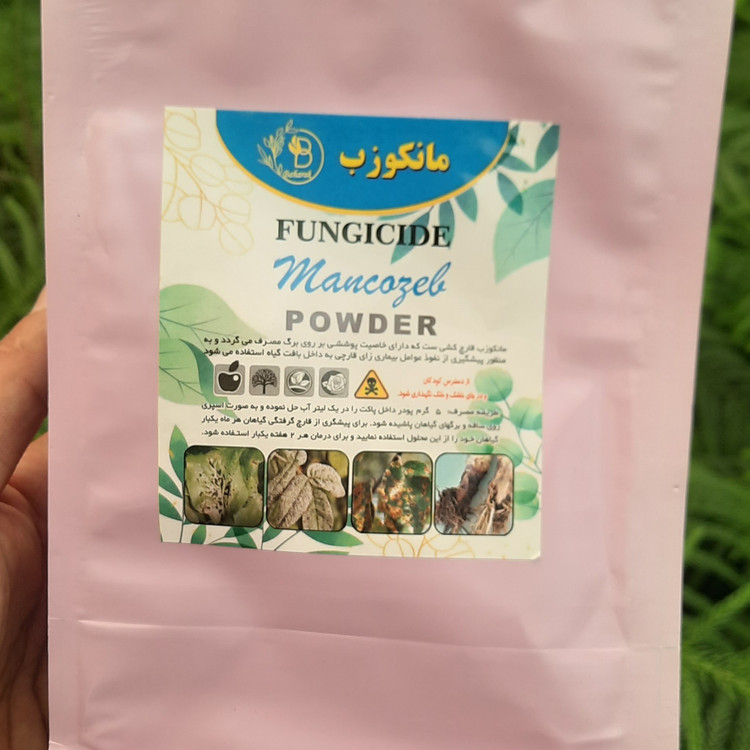 قارچکش مناسب گیاهان آپارتمانی