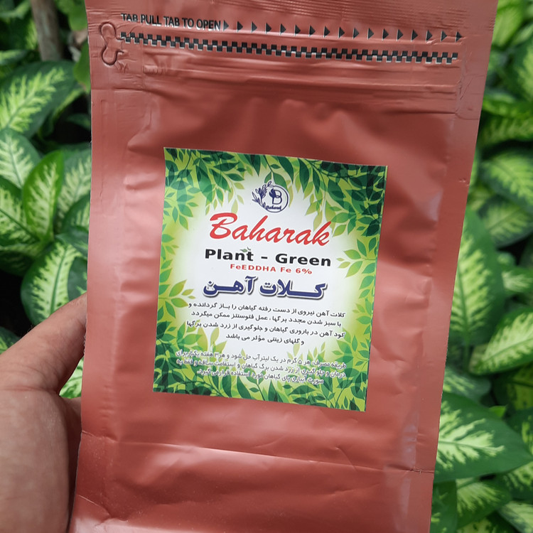 خرید و قیمت کود کلات آهن تقویت و رشد و سبزینگی گیاهان آپارتمانی