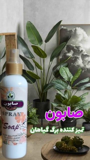 خرید صابون تمیز کننده گیاهان آپارتمانی ضد آفات و حشرات