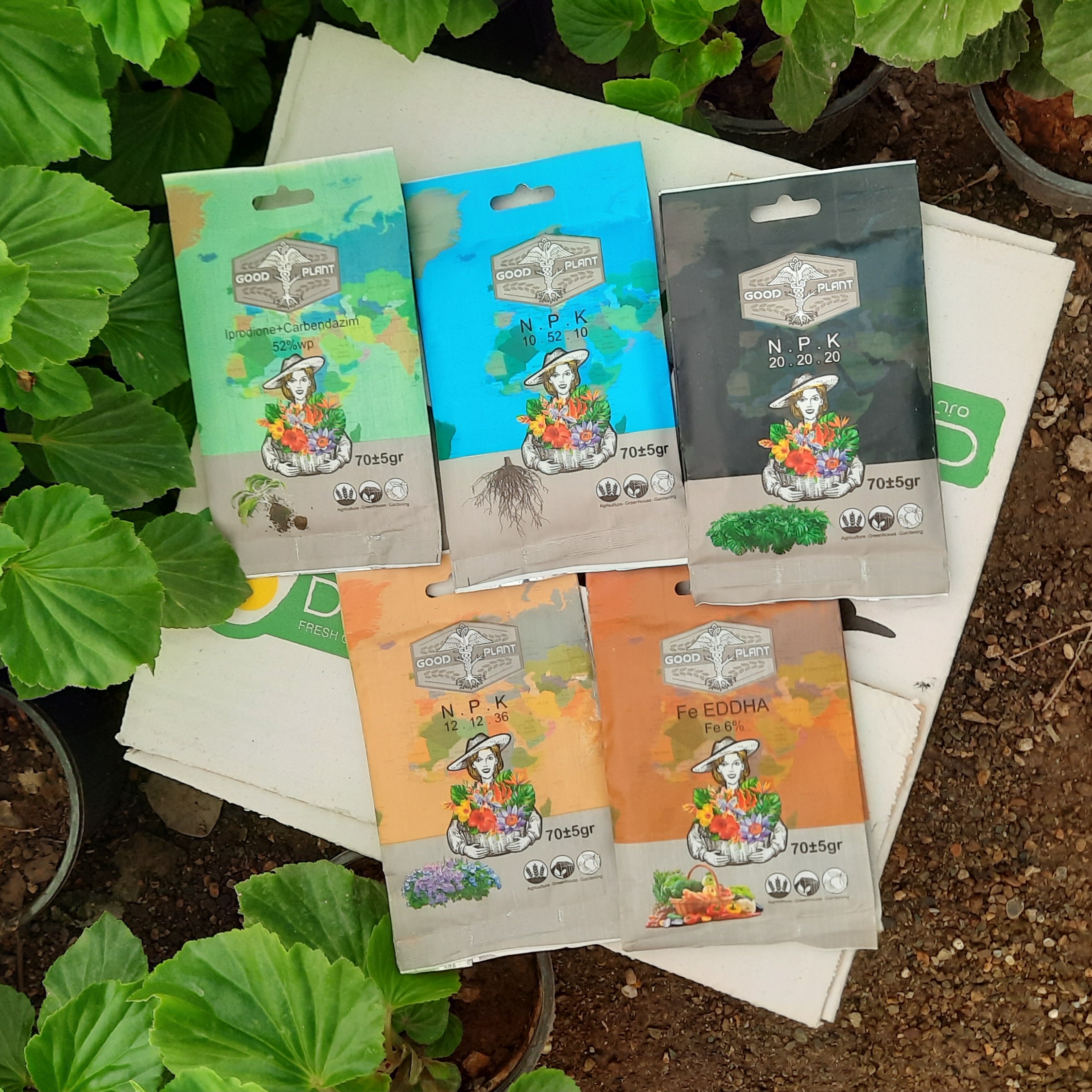 پک کامل نگهداری از گیاهان