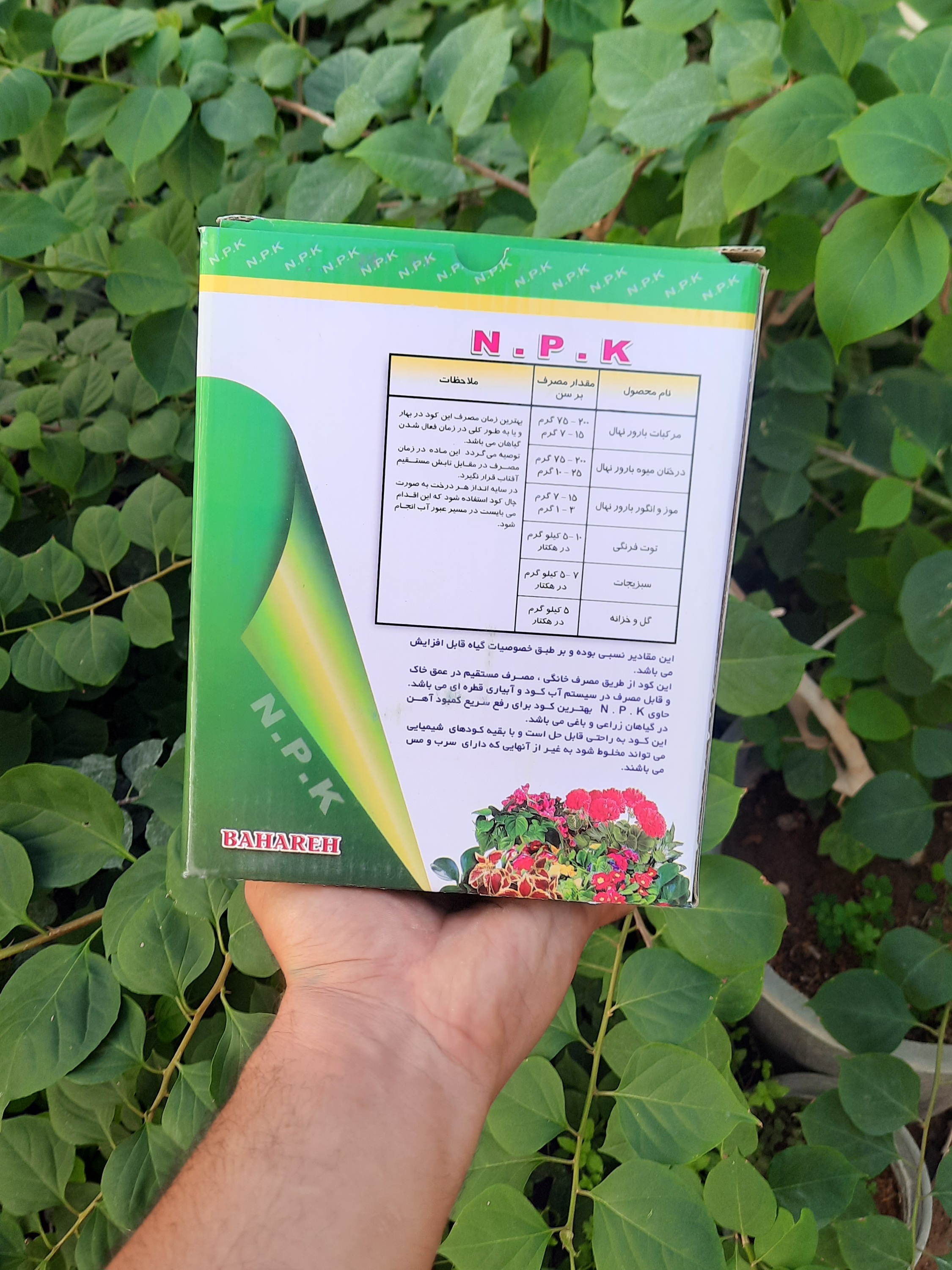 کود ۲۰ ۲۰ ۲۰ برلی رشد یکنواخت گیاهان