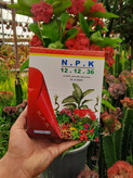 کود ۱۲ ۱۲ ۳۶ مواد مغذی برای گیاهان
