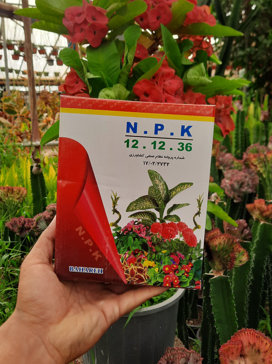 خرید کود ۱۲ ۱۲ ۳۶ مناسب مراحل پایانی رشد، گلدهی و میوهدهی