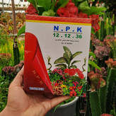 کود ۱۲ ۱۲ ۳۶ برای تقویت گیاهان