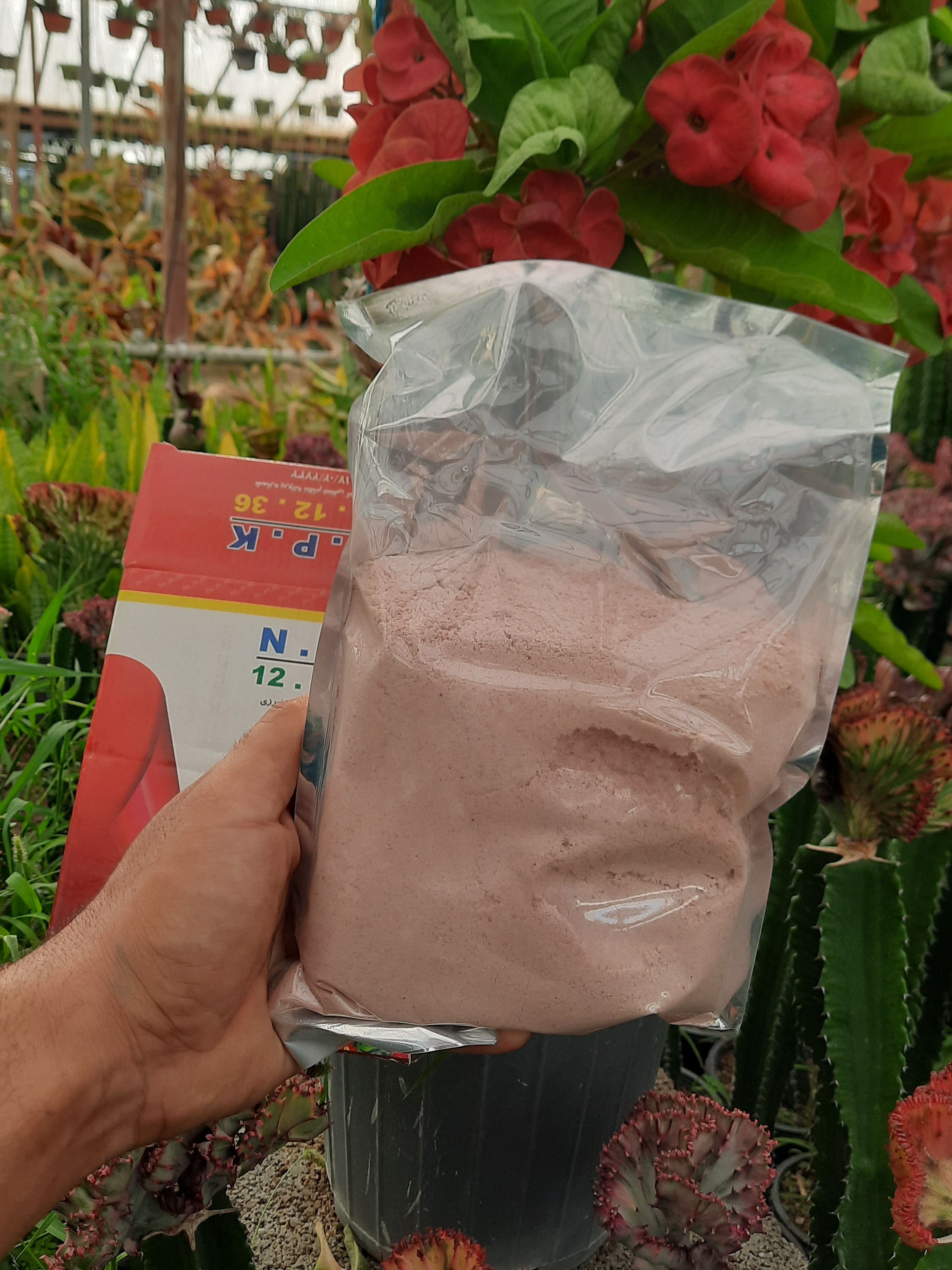 کود ۱۲ ۱۲ ۳۶ رشد سالم گیاهان