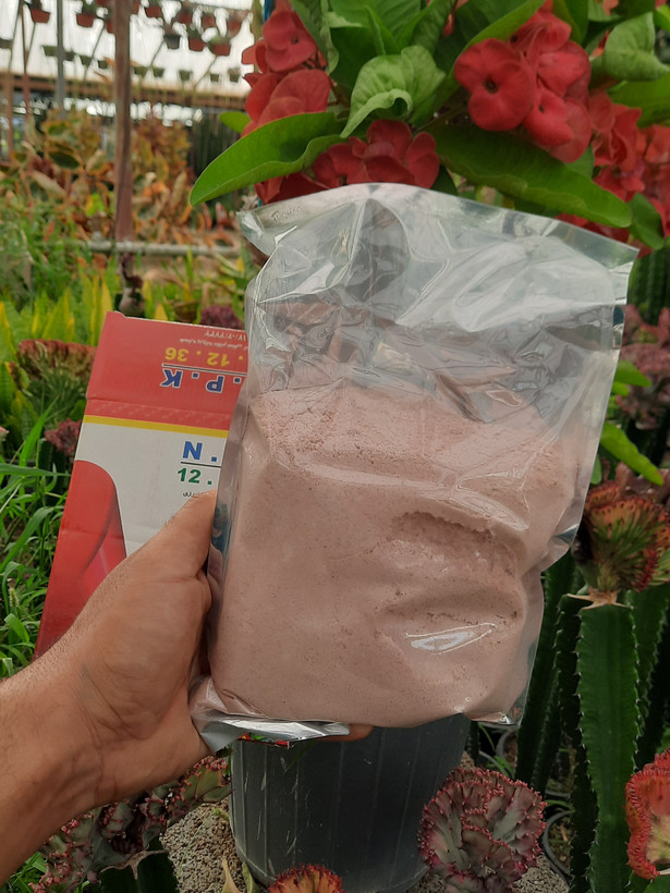 کود ۱۲ ۱۲ ۳۶ رشد سالم گیاهان