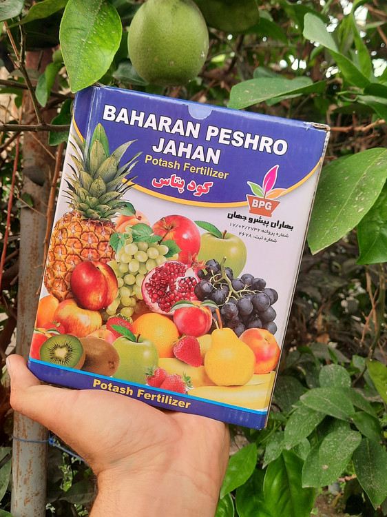 خرید و قیمت کود پتاس برای گل دهی و میوه دهی