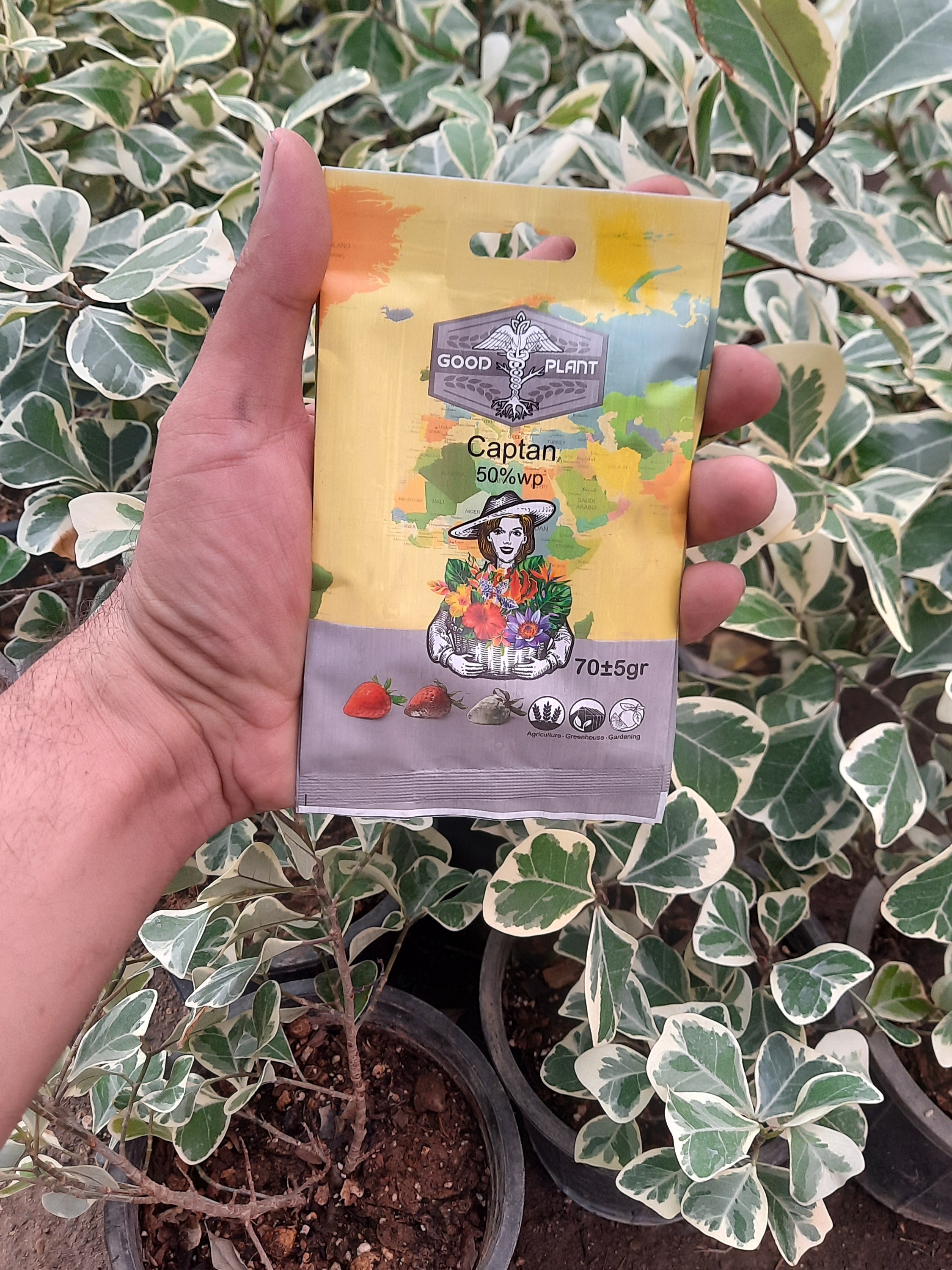 قارچکش کاپتان ۷۵ گرمی گود پلنت