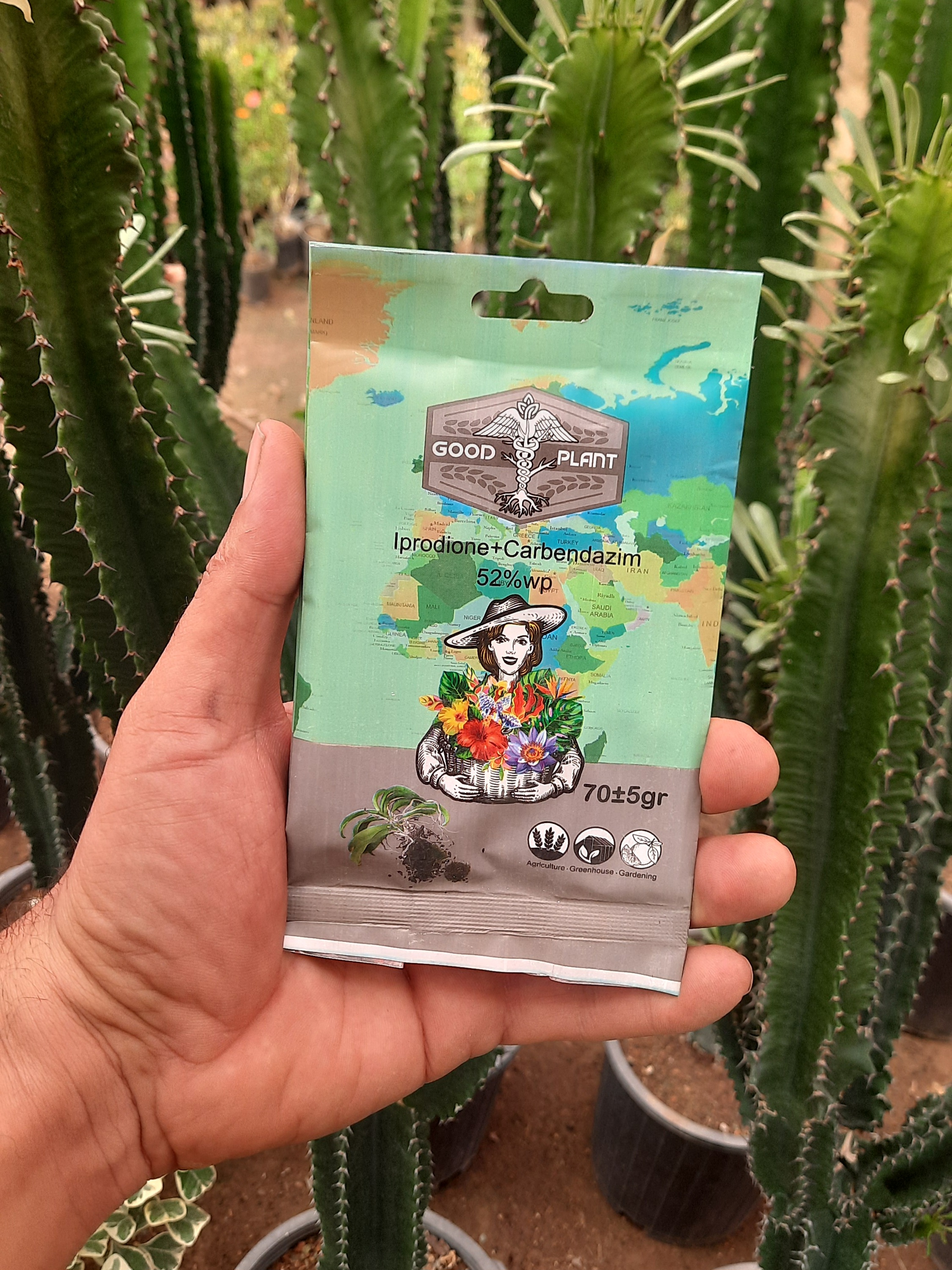 قارچکش قوی سیستمیک کاربندازیم