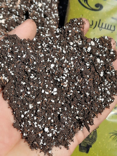 خاک برگ 6 لیتری چنار