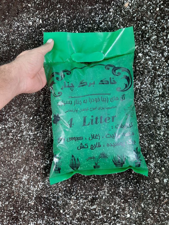 خاک برگ چنار کودکُور در بستهبندی استاندارد