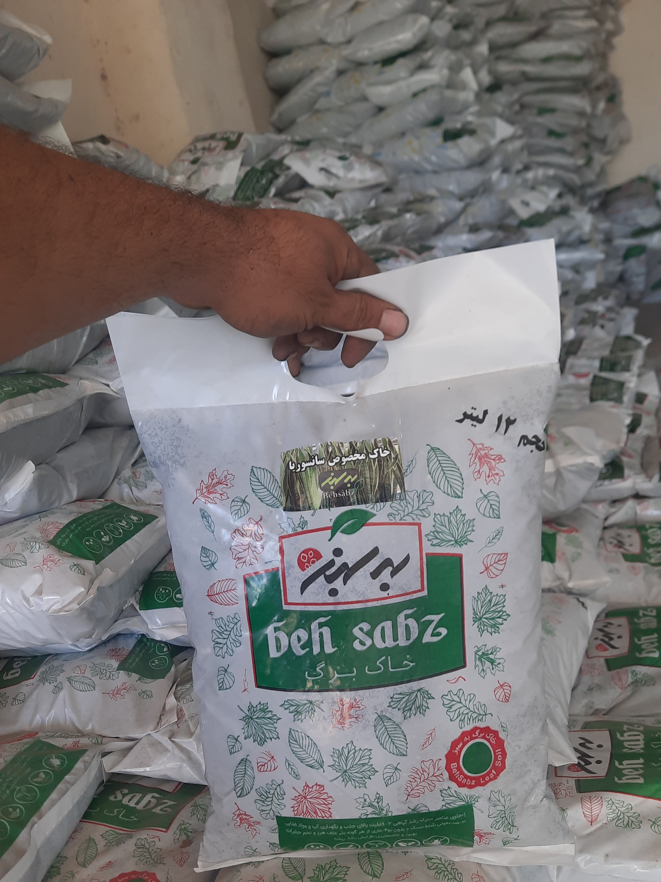 خاک مخصوص سانسوریا و زاموفیلیا