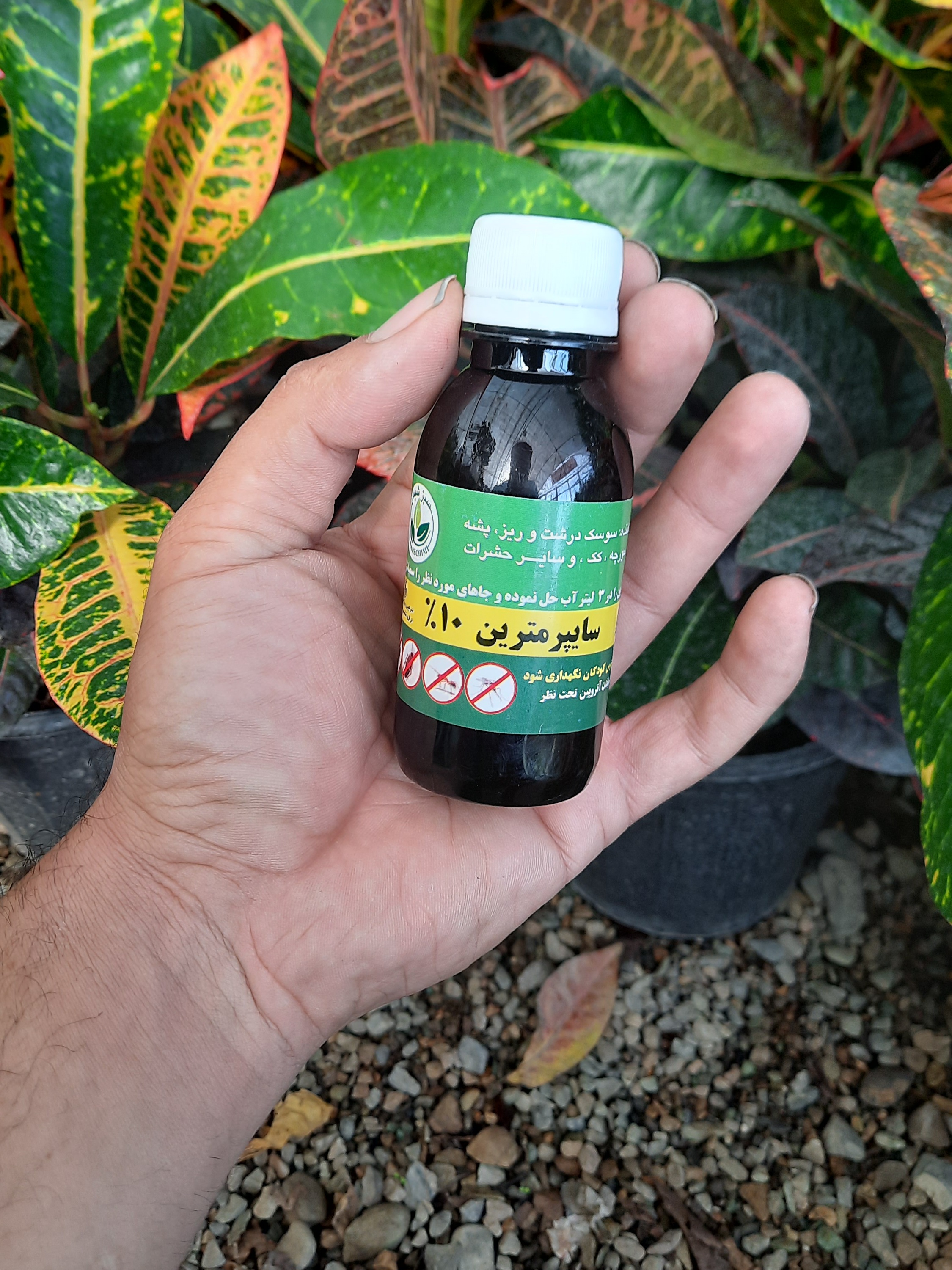 سایپرمترین سم قوی برای از بین بردن حشرات