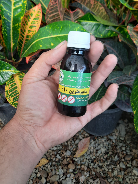 سایپرمترین سم قوی برای از بین بردن حشرات