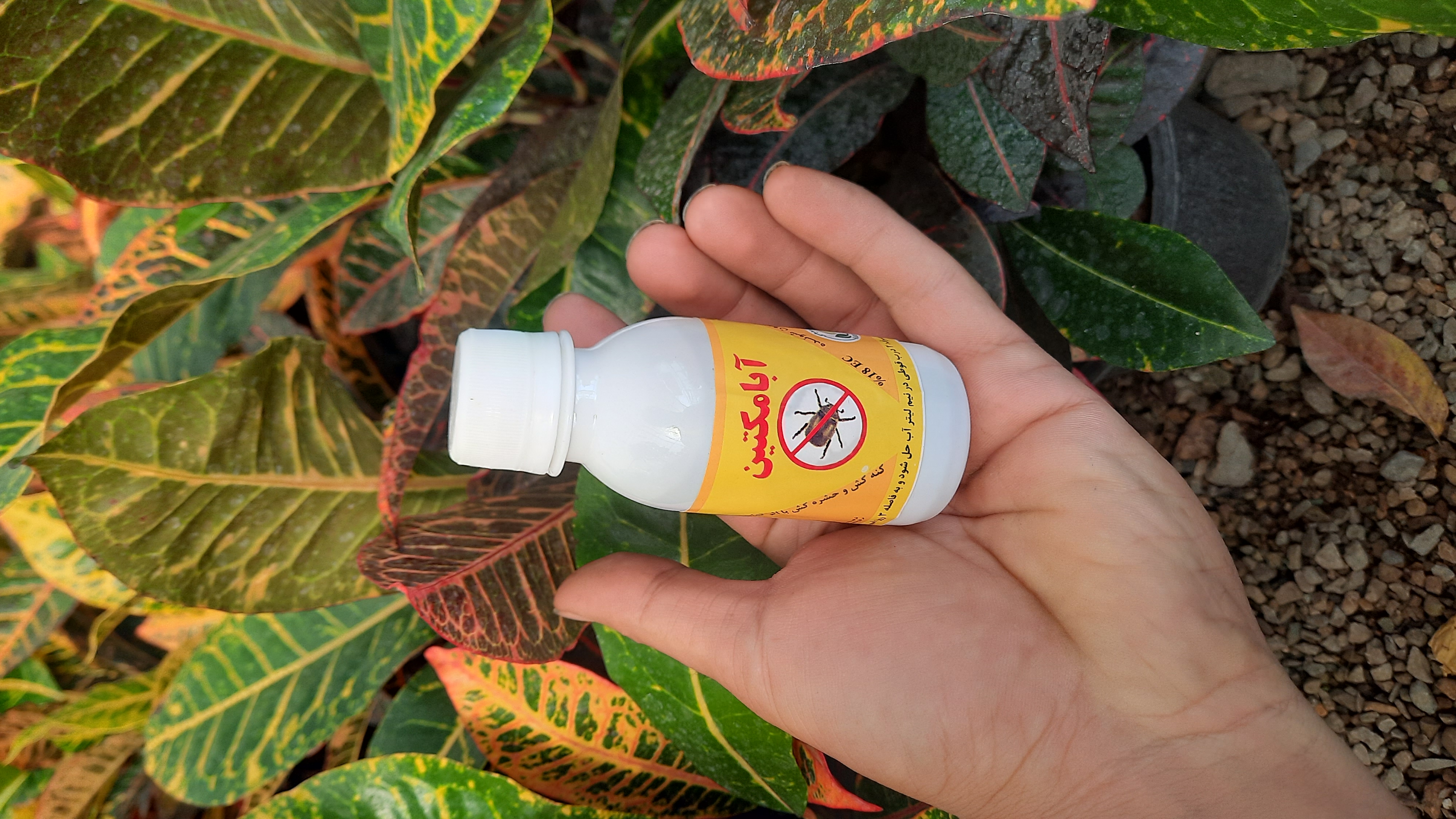 سم ابامکتین مخصوص کنه و افات