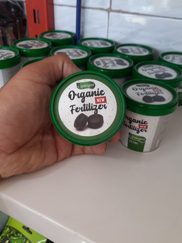 رشد سریع و پر قدرت گیاهان آپارتمانی