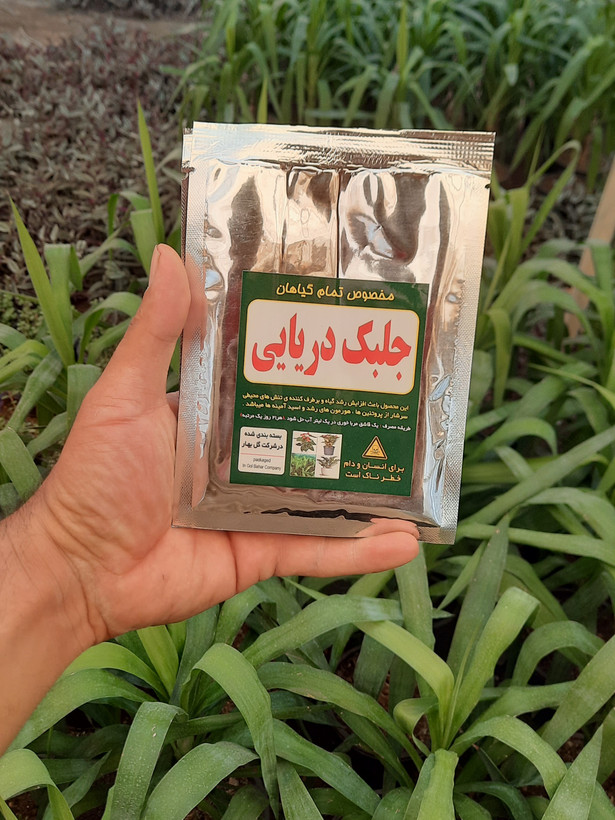 فروش عمده محرک رشد طبیعی جلبک دریایی برند کودکُور