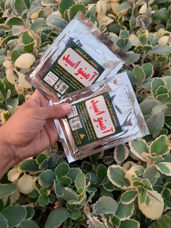 خرید عمده آمینو اسید برای تقویت و رشد گیاه