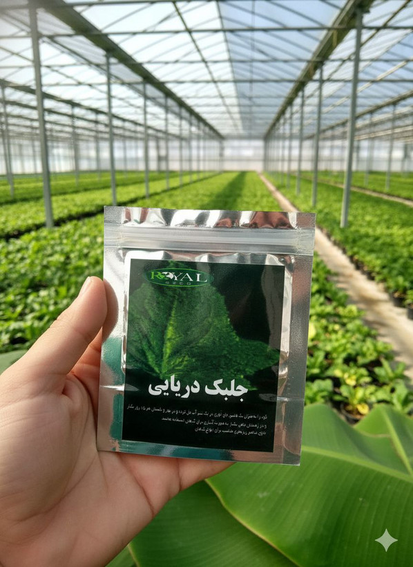 جلبم دریایی