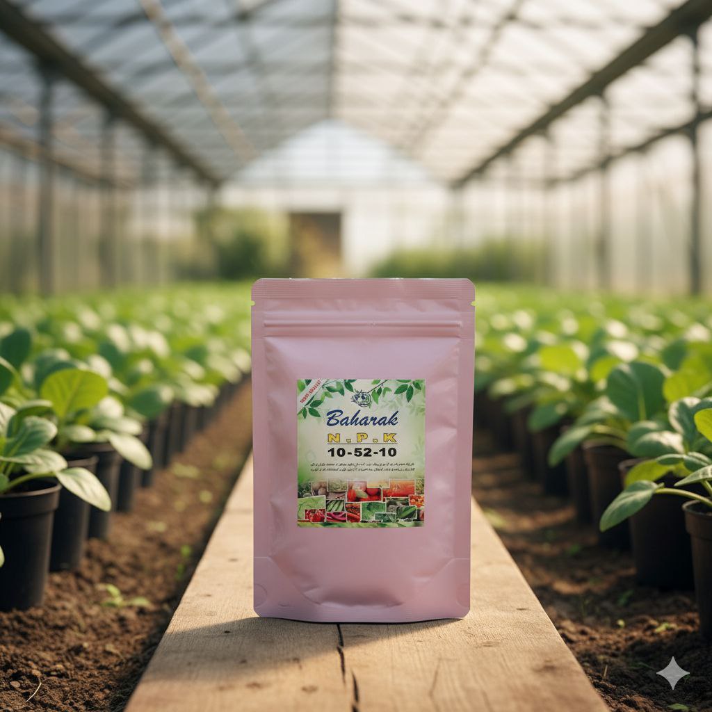 کود 10 52 10 نیم کیلویی کود تقوتی ریشه مقاومت گیاه تنه دار شدن گیاه نیم کیلویی