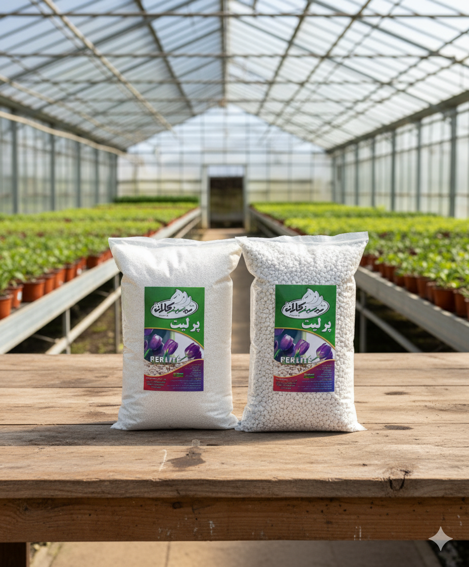 پرلیت قلمه گیری بی نقص با ریشه های محکم و مقاوم تکثیر و ریشه دهی آسان بدون خرابی | کودکُور