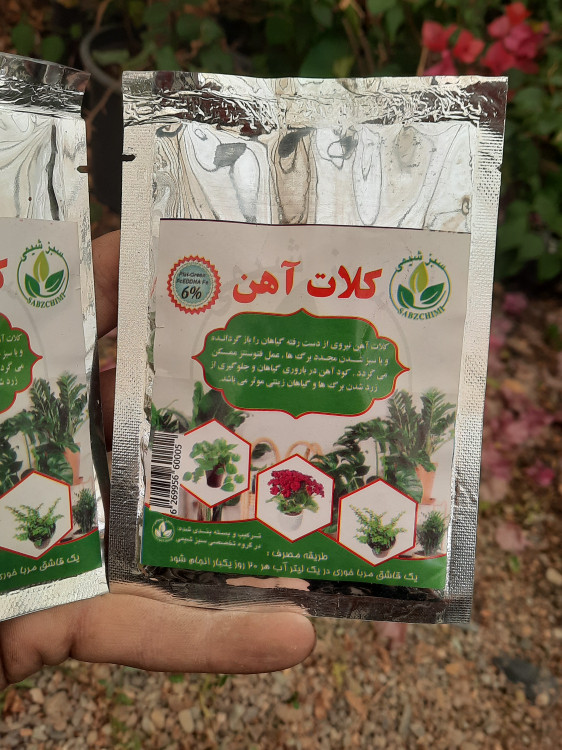 کلات آهن سبز شیمی راهکار سریع برای کمبود آهن گیاهان