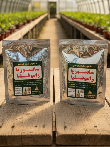 کود پودری تخصصی برای پاجوشدهی سانسوریا و زاموفیلیا برند کودکُور