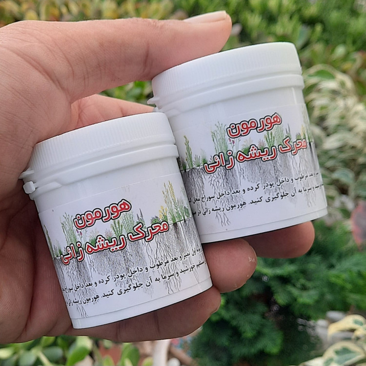 هورمون ریشه زا قوی بدون تلفات