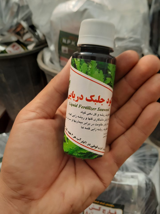 خرید جلبک دریایی تقویت و مقاومت در گیاهان آپارتمانی