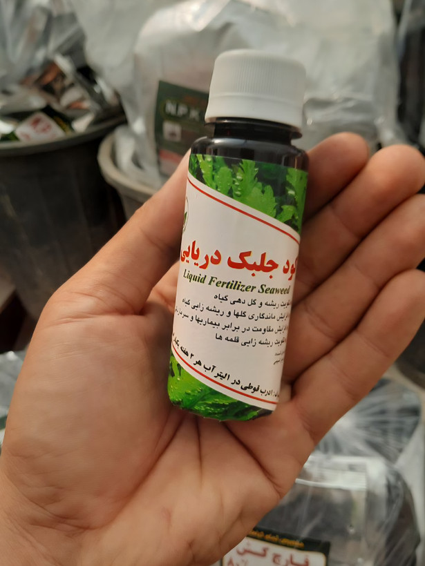 خرید جلبک دریایی تقویت و مقاومت در گیاهان آپارتمانی