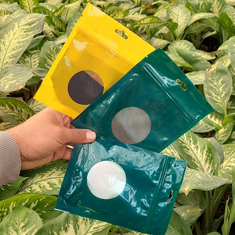 خرید و قیمت پک کدو مراقبتی گیاهان آپارتمانی