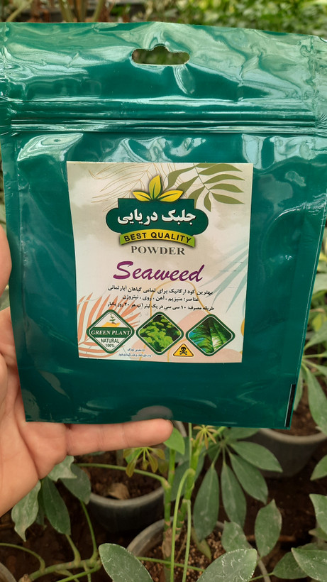 خرید و قیمت کود جلبک دریایی برای تقویت و رشد گیاهان