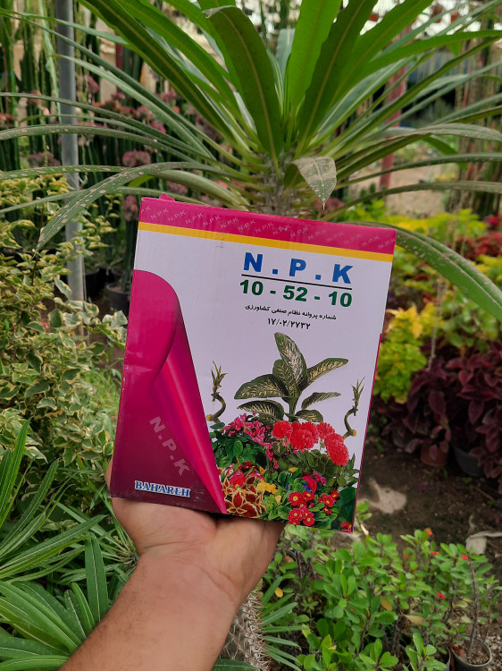 خرید و قیمت عمده کود ۱۰ ۵۲ ۱۰ یک کیلویی