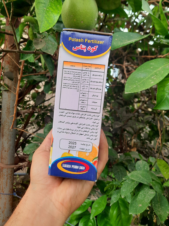 خرید و قیمت کود پتاس مفید برای گلخانه و کشاورزی