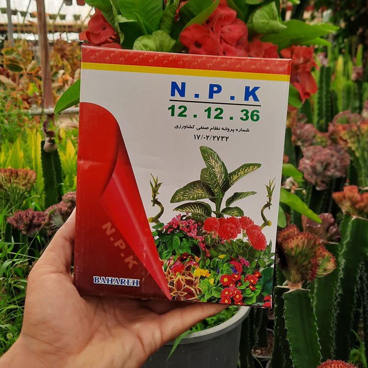 خریدکود ۱۲ ۱۲ ۳۶ متعادل از نظر نیتروژن و فسفر برای جلوگیری از رشد بیرویه
