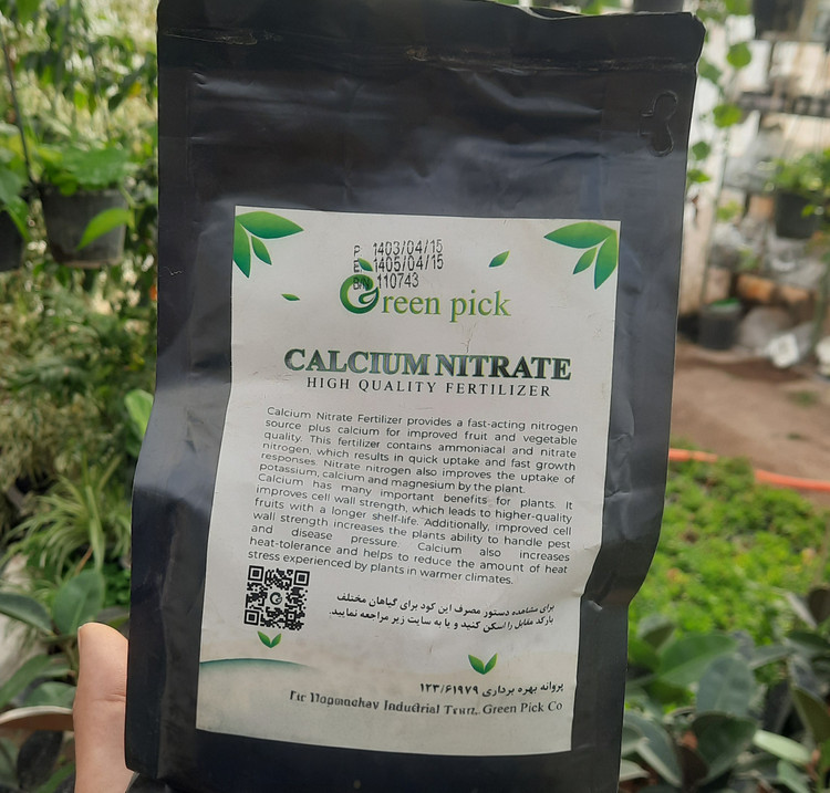 تاثیر کود کلسیم بر رشد برگ و سلامت گیاه آپارتمانی