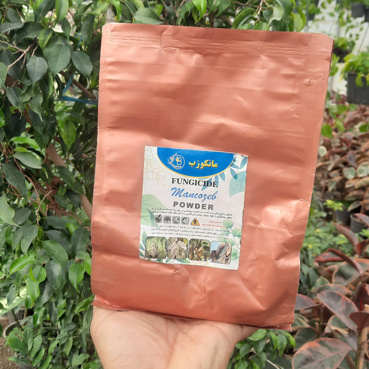 قارچ کش مانکوزب دفع سریع و آسان انواع قارچ و بیماری در گیاهان