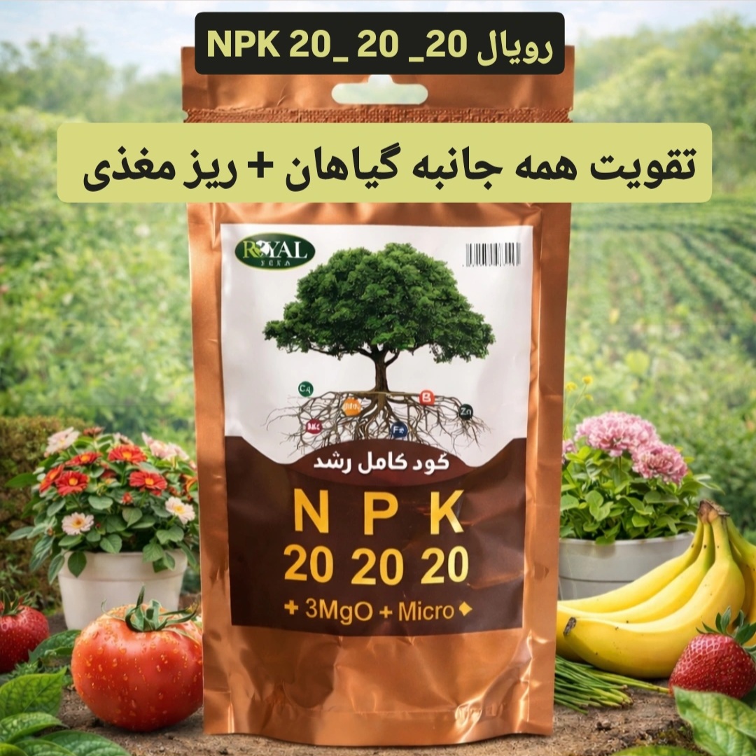 کود کامل رشد NPK 20-20-20 رویال | تقویت همه‌جانبه گیاهانریزمغذی عمده پک ۱۰ عددی