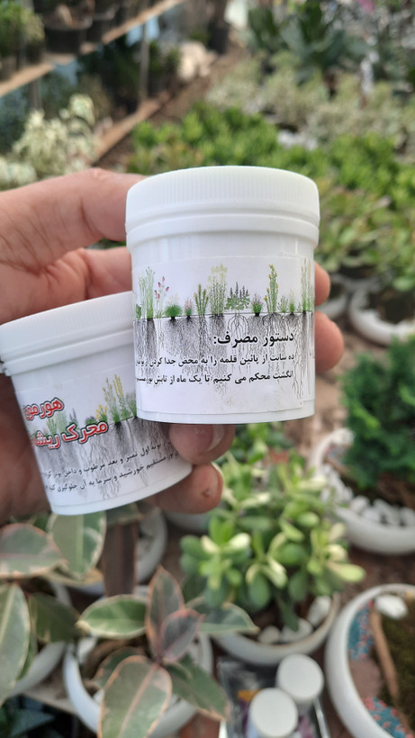 هورمون ریشه زا محرک ریشه پودری با کیفیت بالا