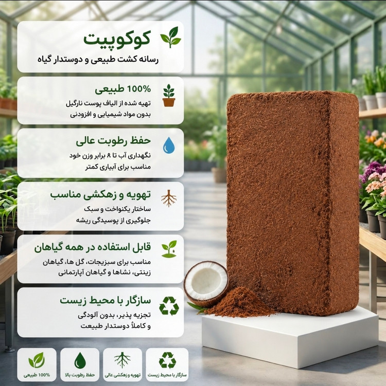 کوکوپیت قالبی با کیفیت